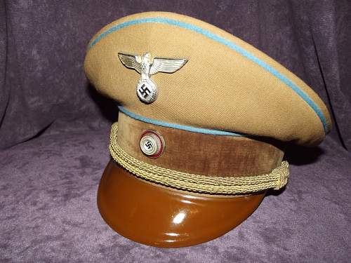 Post Your NSDAP Political Hats!