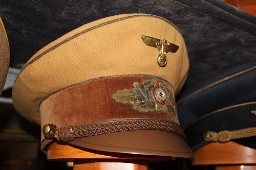 Reichleiter visor