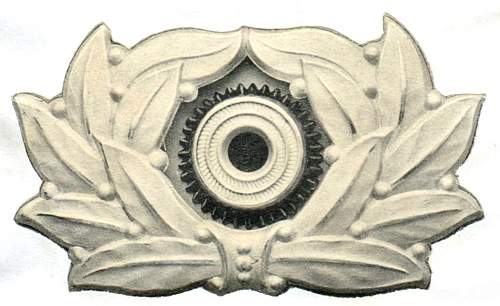 Mysterious cap badge