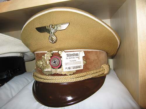 Post Your NSDAP Political Hats!