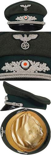 Forestry visor - officer.