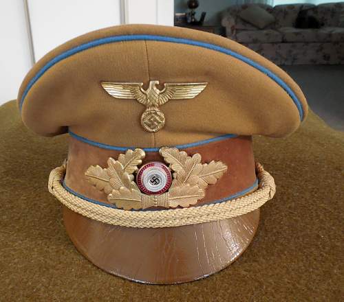 NSDAP visor for review