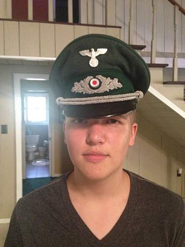 Forestry visor - officer.