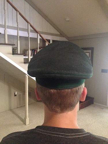 Forestry visor - officer.