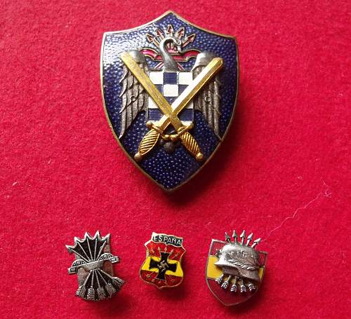 Spanish Civil War / Blue Division Volunteer Collection