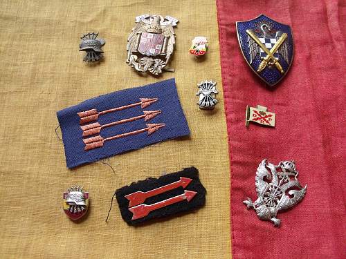 Spanish Civil War / Blue Division Volunteer Collection