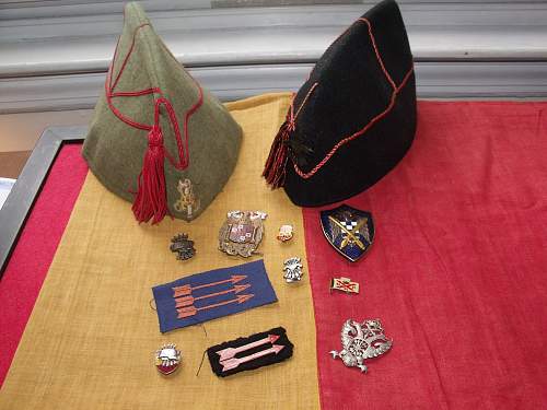 Spanish Civil War / Blue Division Volunteer Collection