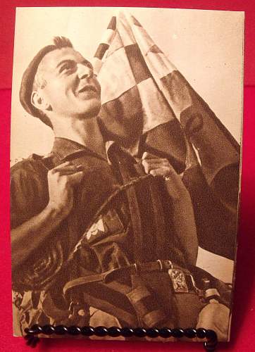 Spanish Civil War / Blue Division Volunteer Collection