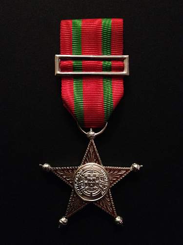 Portuguese Wounded in Campaign Medal Collection