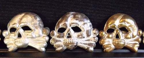 Another Danziger Skull