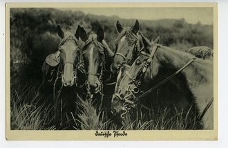 My cavalry/mounted collection.