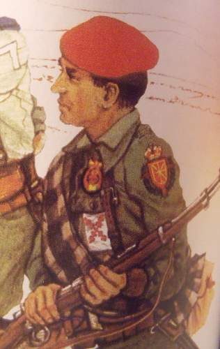Spanish Civil War / Blue Division Volunteer Collection