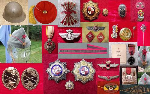 Spanish Civil War / Blue Division Volunteer Collection