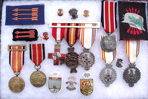 Spanish Civil War / Blue Division Volunteer Collection