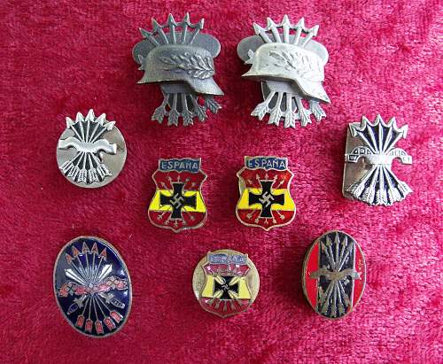 Spanish Civil War / Blue Division Volunteer Collection