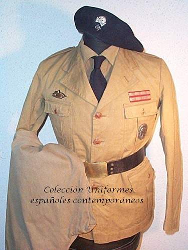 Spanish Civil War / Blue Division Volunteer Collection