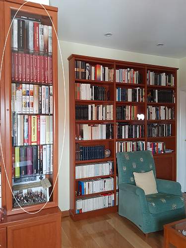 Book Collection Display