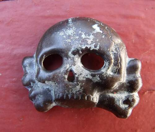 Another Danziger Skull