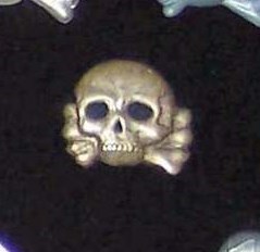 Another Danziger Skull