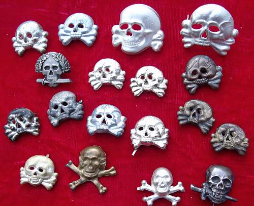 A Collection of small Skulls