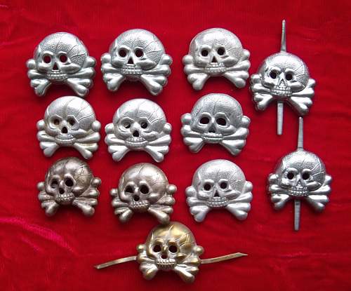 A Collection of small Skulls