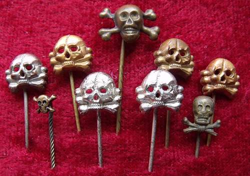 A Collection of small Skulls