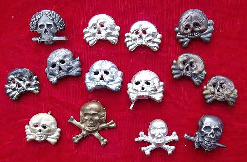 A Collection of small Skulls