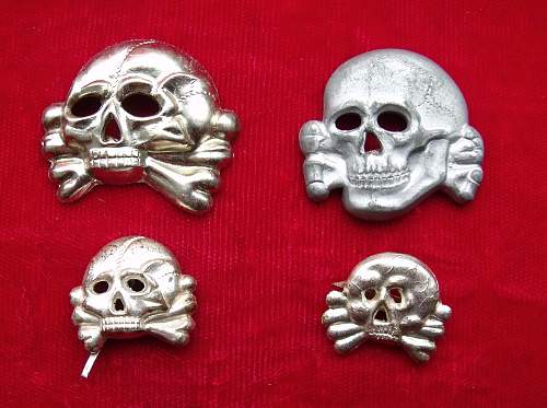 A Collection of small Skulls