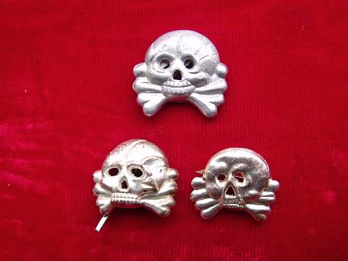 A Collection of small Skulls