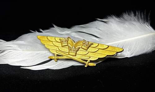 A Pilot Wing from my native country!