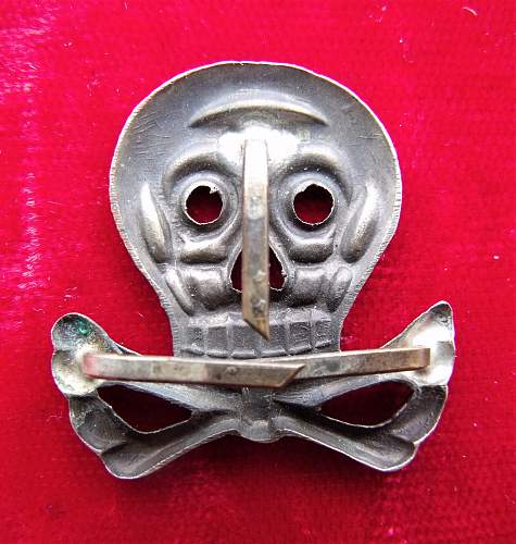 Brunswick Hussars Skull EM