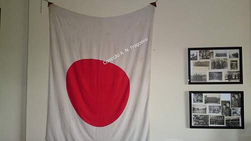 Show your flag or banner collection