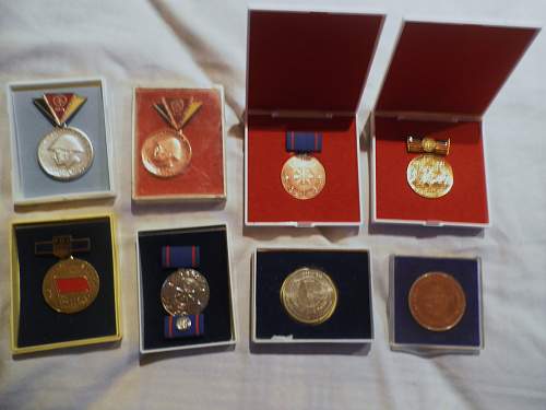 Medal Collection and other bits...