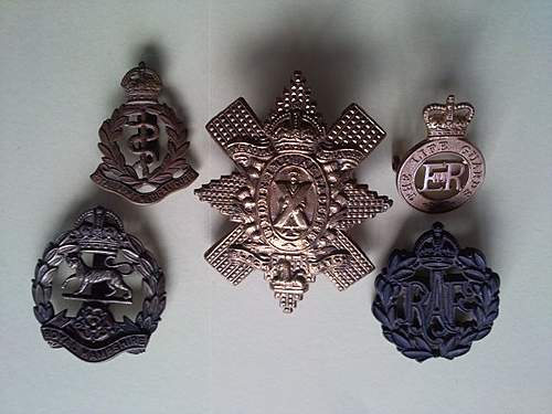 My Collar &amp; Cap Badge Collection