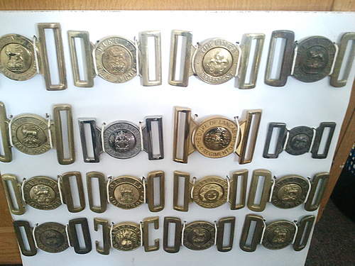 Instant Collection of Belt buckles