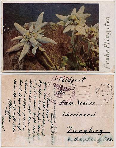 My Favorite feldpost letter in my collection - With eastern front flower