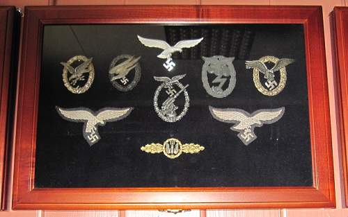 My collection WWII (German medal &amp; badges)