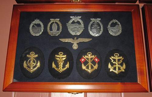 My collection WWII (German medal &amp; badges)