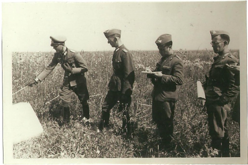 Portuguese Legion collection