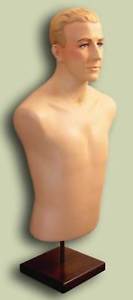 &quot;Webster Display&quot; Half-mannequin/ Torso (with useful small chest size).