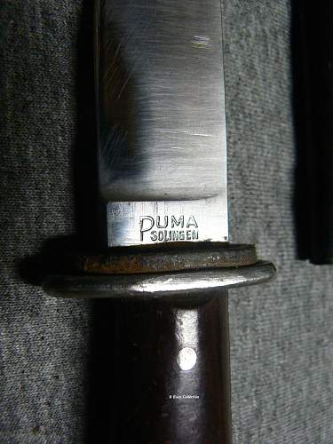 puma fighting knife