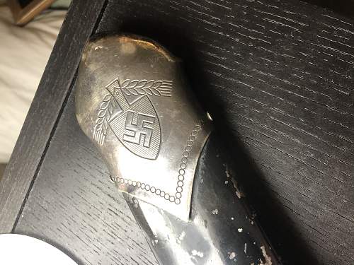 My new Reichsarbeitsdienst dagger with curious initials