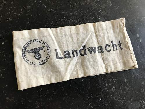 Identifying this Dutch Landwacht armband