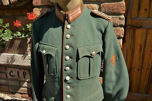 Need Help! German police uniform