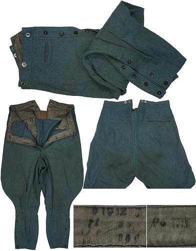 WW2 German Polizei trousers, officer or NCO?