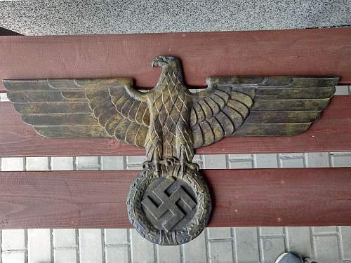 What is this eagle?