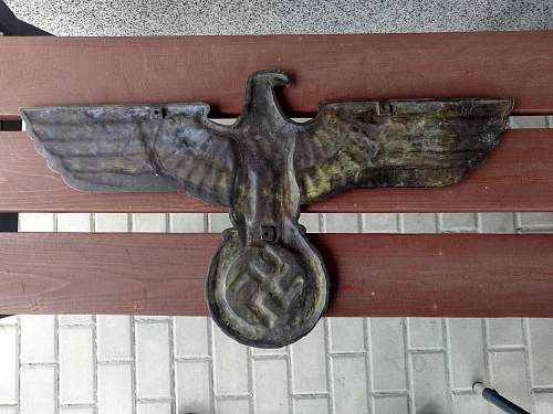 What is this eagle?
