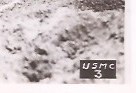 USMC Numbered photos