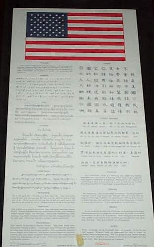 A silk &quot;Blood&quot; chit.