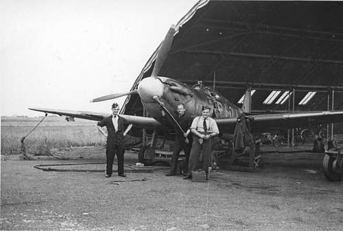 Spitfire Mk Vb ( from 130 &quot; Punjab &quot; Squadron to 349 &quot; Belgian &quot; Squadron )